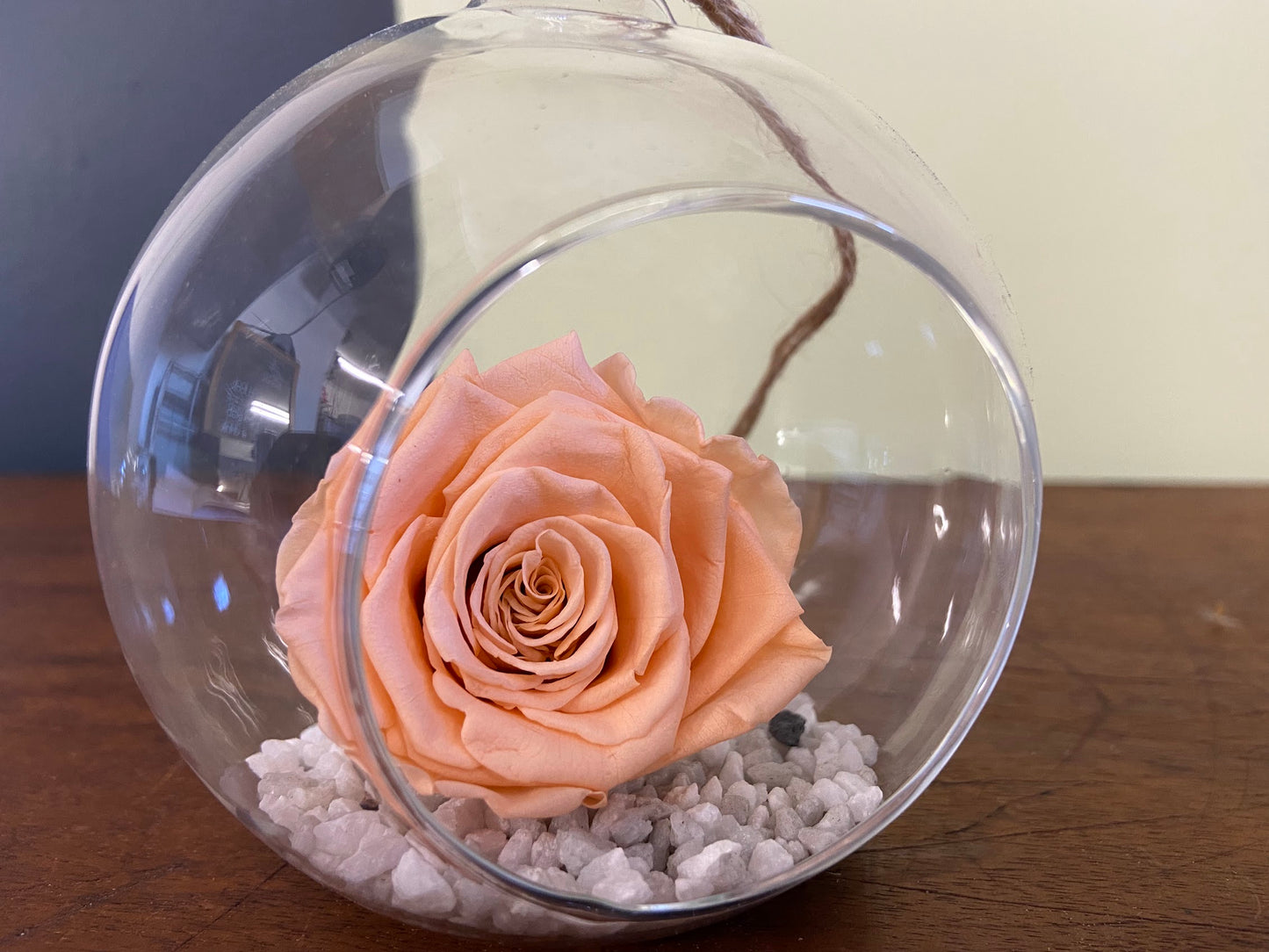 Preserved Rose